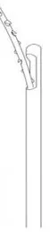 AestheLine Cannula W Thread